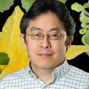Hideki Takahashi, PhD